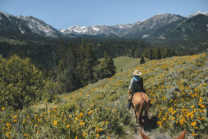 Photo of a person on a horse on a mountain trail: Vail horseback riding