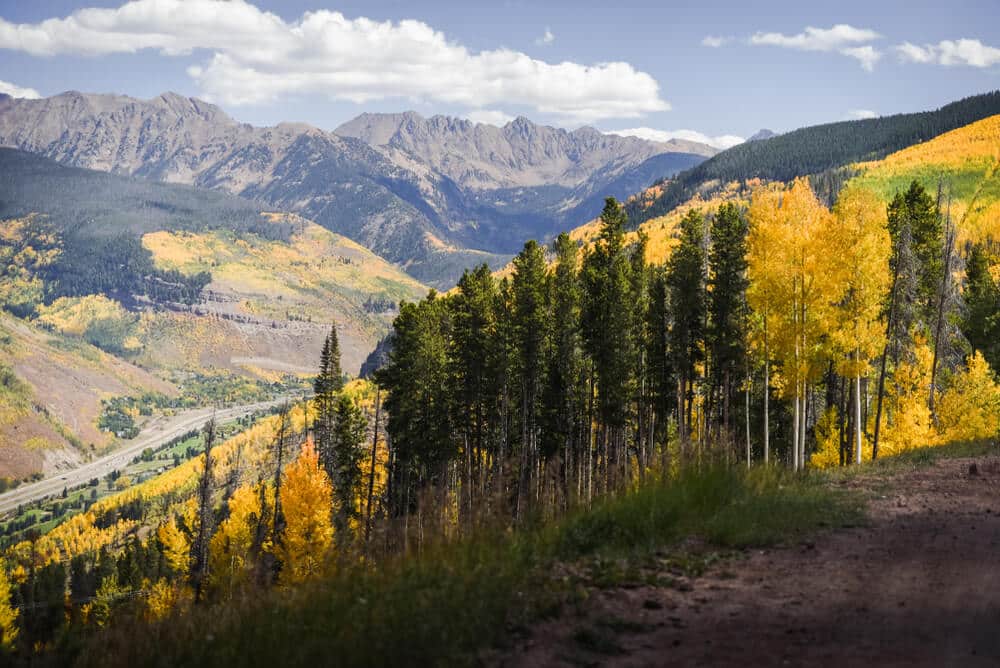Photo of fall foliage during fall in vail