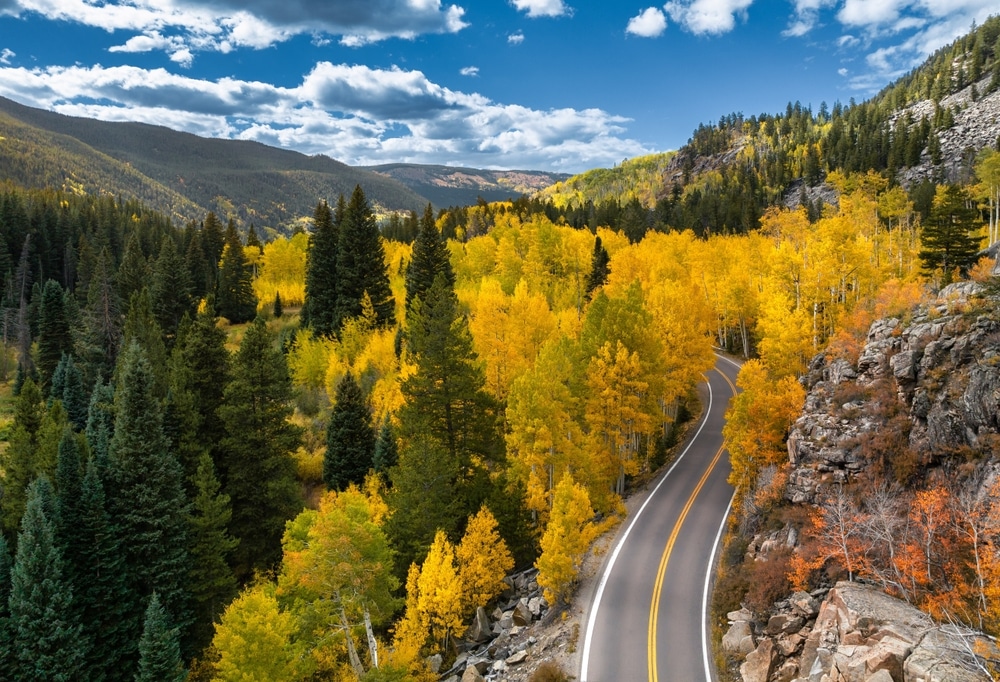 Road framed by fall colors in Vail Colorado